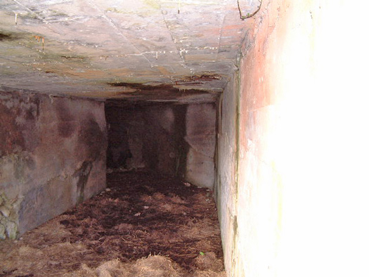Inside.