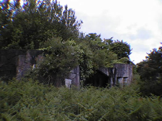 StP234 Batterie Hamburg T3