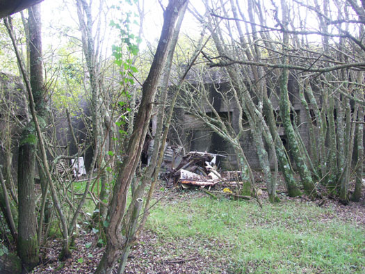 StP234 Batterie Hamburg T3