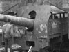 Gun.