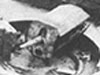24cm S.K. L/40.
