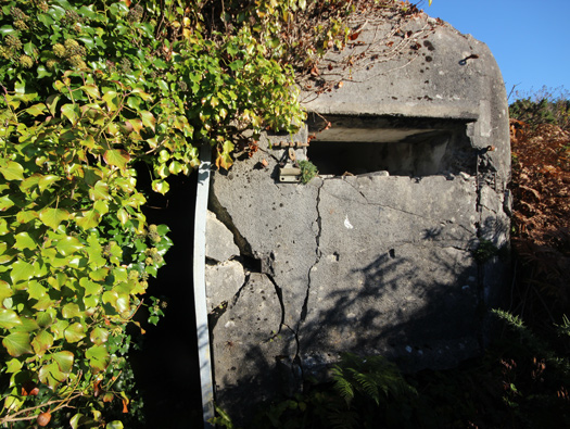 StP245 Fort des Caplains M.K.B. 'Brommy',