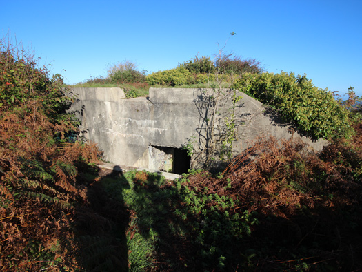 StP245 Fort des Caplains M.K.B. 'Brommy',