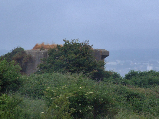 StP245 Fort des Caplains M.K.B. 'Brommy',