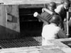 Ammunition handling.