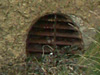 200mm Rost.