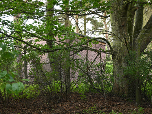 RAF East Fortune dispersed site