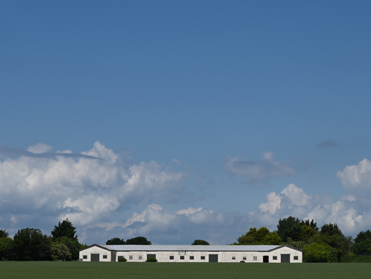 RFC/RAF Drem
