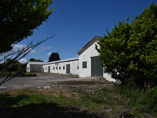 RFC/RAF Drem