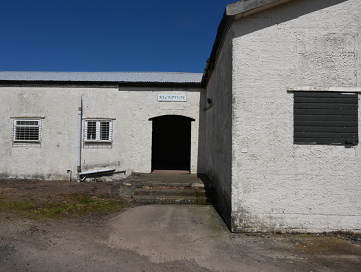 RFC/RAF Drem