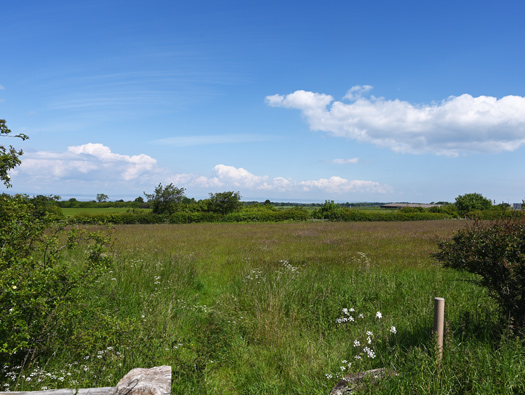 RAF Macmerry
Airfield, Fighter Pens, Sleeping Shelter, M&E plinths, Pillbox