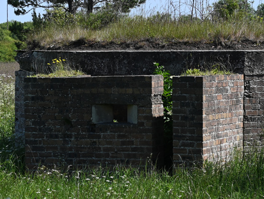 RAF Macmerry
Airfield, Fighter Pens, Sleeping Shelter, M&E plinths, Pillbox
