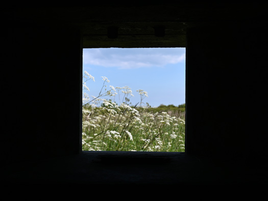 RAF Macmerry
Airfield, Fighter Pens, Sleeping Shelter, M&E plinths, Pillbox