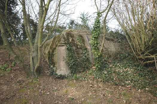 Ra230 Fort de la Cite d'Aleth. Outside the wall.