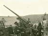 7,5 cm Flak M36 (f).