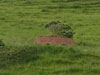 Pill box defence against Operation Seelöwe the invasion of Britain.