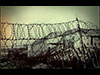 Barbed wire.