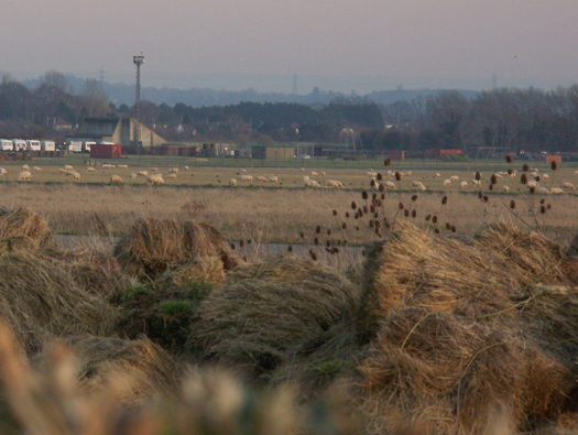 RAF Abingdon