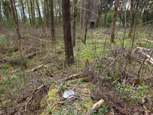 RAF Finmere, Buckinghamshire  Part 1