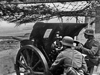 7.5cm F.K.231(f).