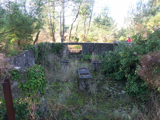 Ro425 ´Kora´, Ro429 'Korola', Ro424 'Käthe', 
K.V.Gr Süd Ile de Ré, 
KVA D, A.O.K.1, Vendée.