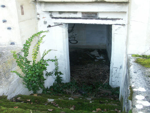 Ro425 ´Kora´, Ro429 'Korola', Ro424 'Käthe', 
K.V.Gr Süd Ile de Ré, 
KVA D, A.O.K.1, Vendée.