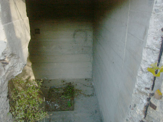 Ro425 ´Kora´, Ro429 'Korola', Ro424 'Käthe', Ile de Ré