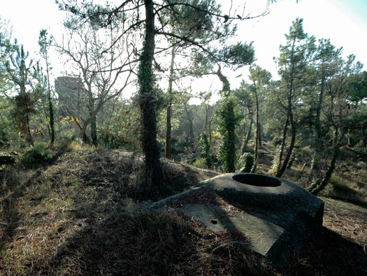 Ro425 ´Kora´, Ro429 'Korola', Ro424 'Käthe', 
K.V.Gr Süd Ile de Ré, 
KVA D, A.O.K.1, Vendée.