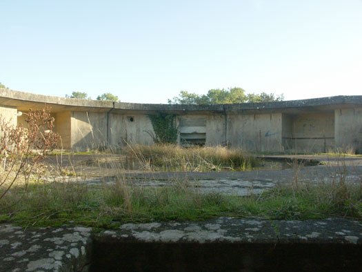 Ro425 ´Kora´, Ro429 'Korola', Ro424 'Käthe', Ile de Ré