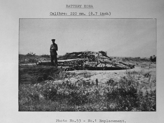 Ro425 ´Kora´, Ro429 'Korola', Ro424 'Käthe', Ile de Ré