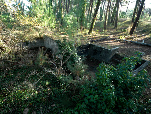 Ro425 ´Kora´, Ro429 'Korola', Ro424 'Käthe', 
K.V.Gr Süd Ile de Ré, 
KVA D, A.O.K.1, Vendée.