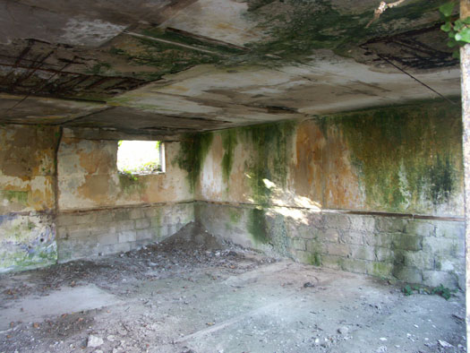 Ro425 ´Kora´, Ro429 'Korola', Ro424 'Käthe', Ile de Ré