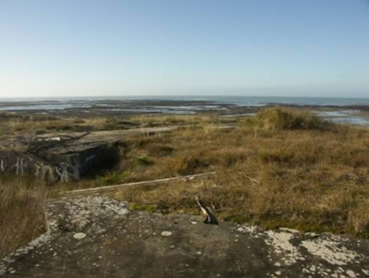 Ro425 ´Kora´, Ro429 'Korola', Ro424 'Käthe', Ile de Ré