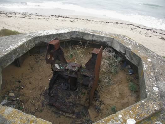 Ro425 ´Kora´, Ro429 'Korola', Ro424 'Käthe', Ile de Ré