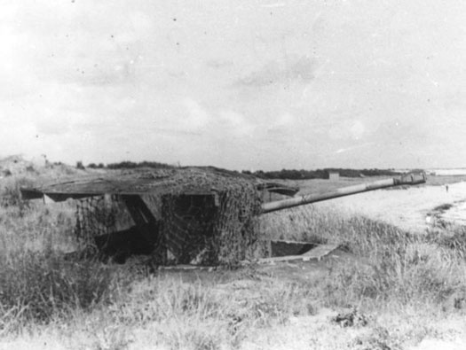 Ro425 ´Kora´, Ro429 'Korola', Ro424 'Käthe', Ile de Ré