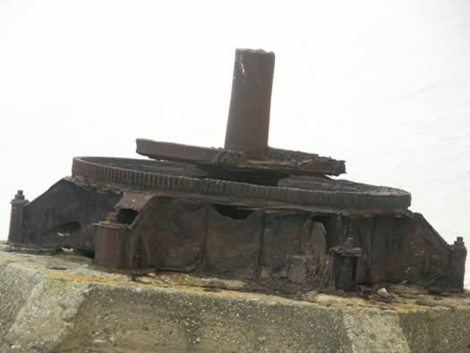 Ro425 ´Kora´, Ro429 'Korola', Ro424 'Käthe', Ile de Ré