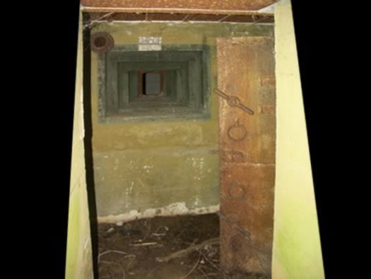 Ro425 ´Kora´, Ro429 'Korola', Ro424 'Käthe', Ile de Ré