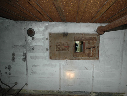 Ro425 ´Kora´, Ro429 'Korola', Ro424 'Käthe', Ile de Ré