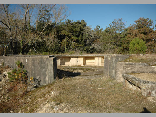 Ro425 ´Kora´, Ro429 'Korola', Ro424 'Käthe', Ile de Ré
