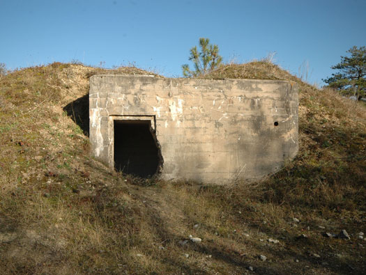 Ro425 ´Kora´, Ro429 'Korola', Ro424 'Käthe', 
K.V.Gr Süd Ile de Ré, 
KVA D, A.O.K.1, Vendée.