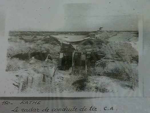 Ro425 ´Kora´, Ro429 'Korola', Ro424 'Käthe', Ile de Ré