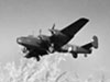 RAF Halifax.