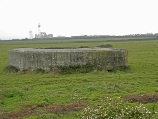 Re305 Les Rospects , AA Batterie 'Arnika'