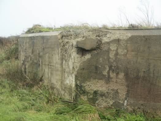Re305 Les Rospects , AA Batterie 'Arnika'