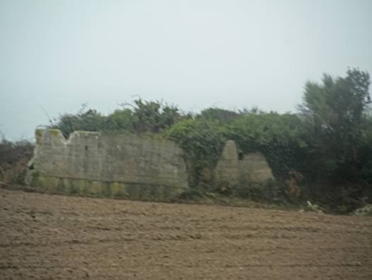 Re305 Les Rospects , AA Batterie 'Arnika'