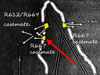 Plan.