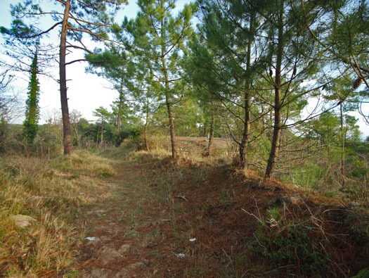 Gi09 Bon Anse 'Cosel' , M.K.B.Coubre-Ost, Batterie (South site).
