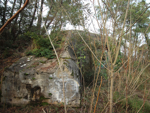 Gi09 Bon Anse 'Cosel' , M.K.B.Coubre-Ost, Batterie (South site).