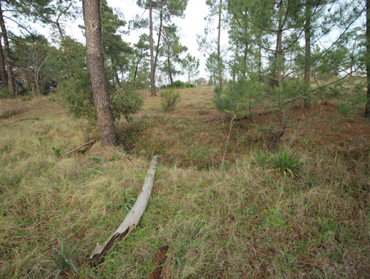 Gi09 Bon Anse 'Cosel' , M.K.B.Coubre-Ost, Batterie (South site).