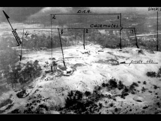Post-Capture Aerial Assessment